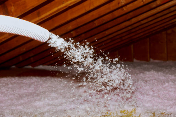 Best Attic Insulation Installation  in Kapolei, HI