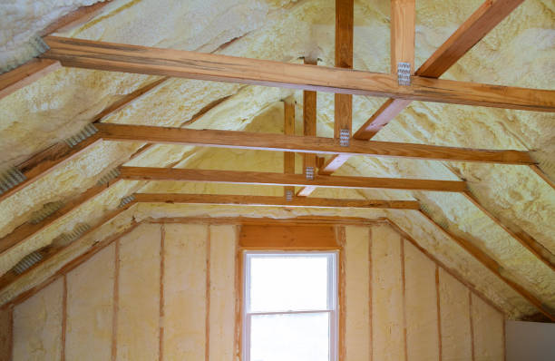 Best Residential Insulation Services  in Kapolei, HI