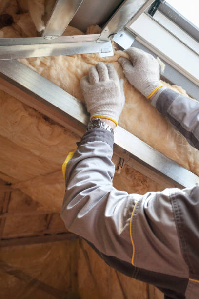 Garage Insulation Installation in Kapolei, HI