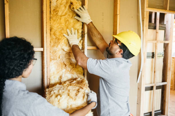 Best Best Insulation Companies  in Kapolei, HI