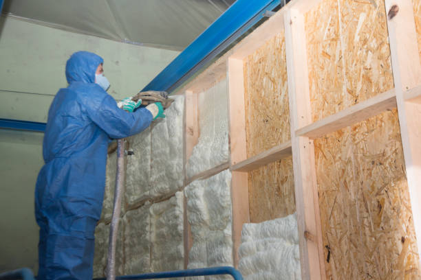 Best Insulation Contractors for Homes  in Kapolei, HI